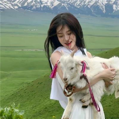 星星的房子国语