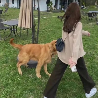 绝命档案
